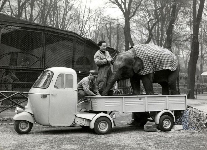 Tuk Tuk Piaggio Apé